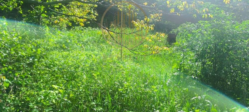 photo_2025-05-24_09-23-00