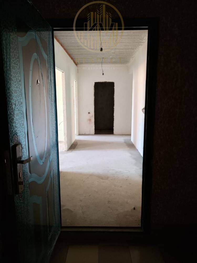 photo_5193193765785505444_y