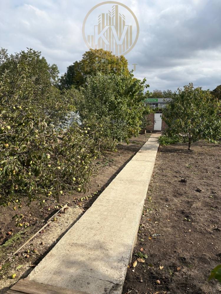 whatsapp image 2025-10-07 at 11.22.43