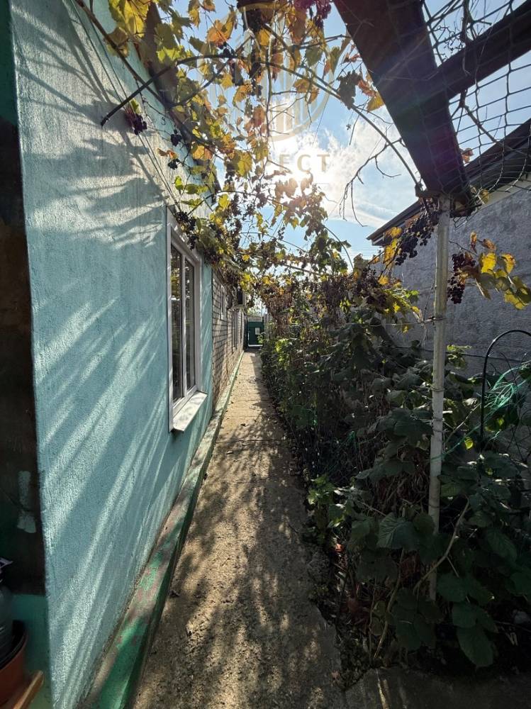 whatsapp image 2025-10-18 at 15.12.04