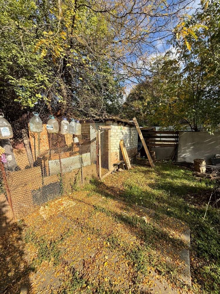 whatsapp image 2025-10-18 at 15.12.08