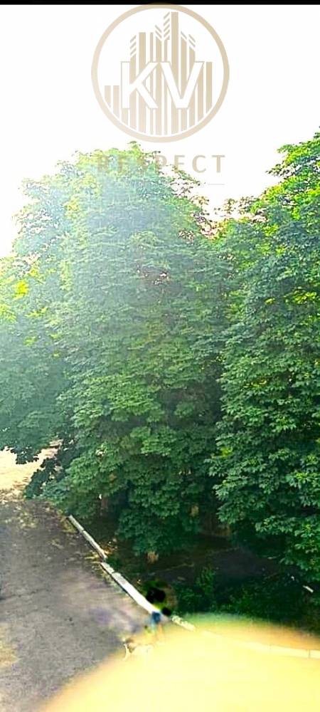 Вид из окна