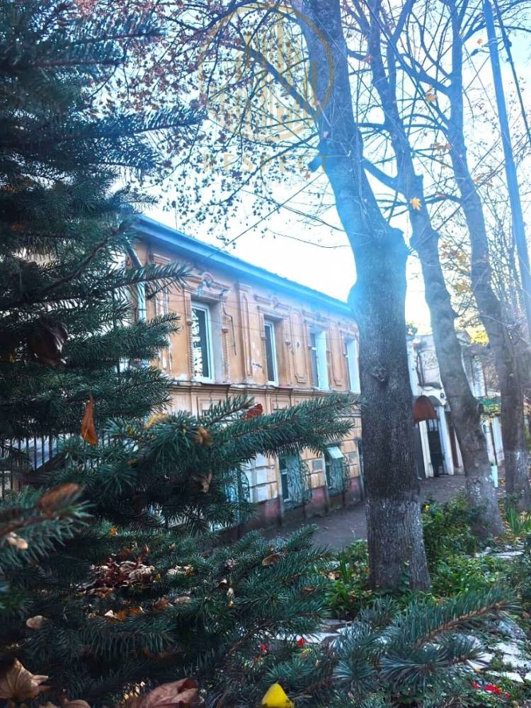 whatsapp image 2025-11-04 at 17.06.06