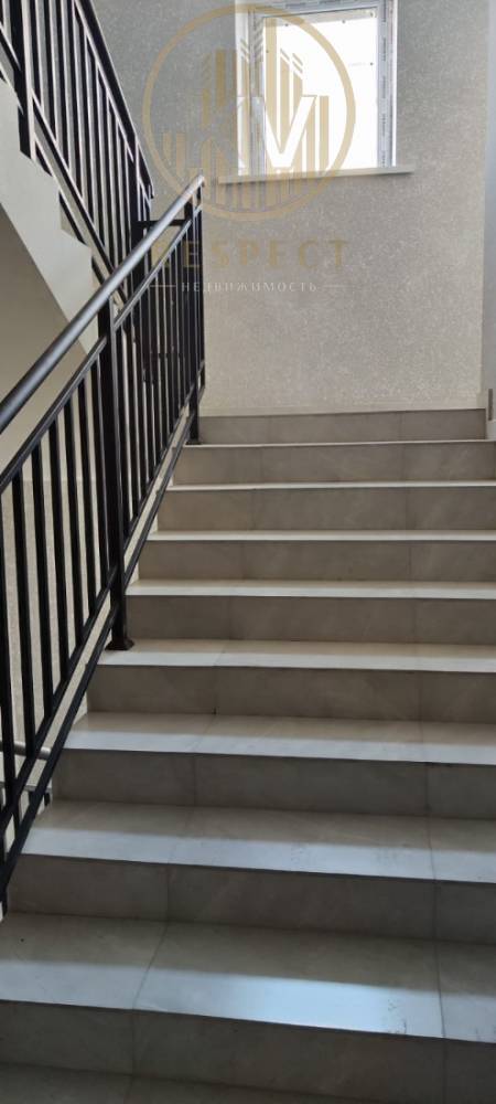 изображение whatsapp 2025-11-09 в 13.23.01_b326051d