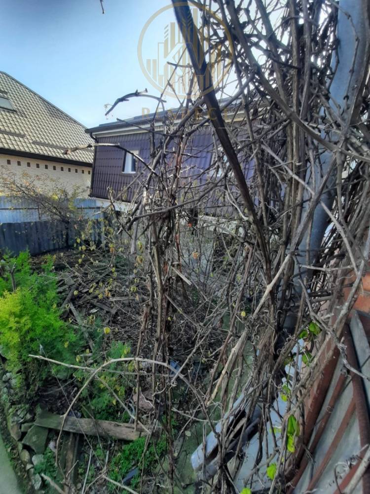 whatsapp image 2025-11-10 at 11.26.28