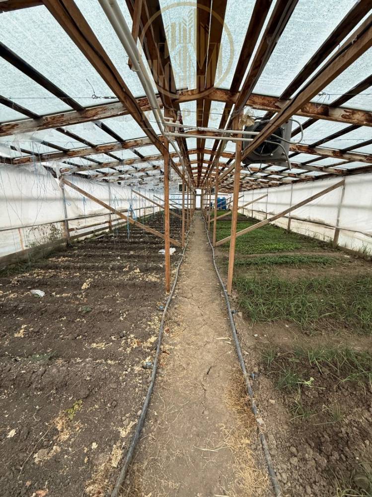 whatsapp image 2025-11-17 at 09.59.01 (16)