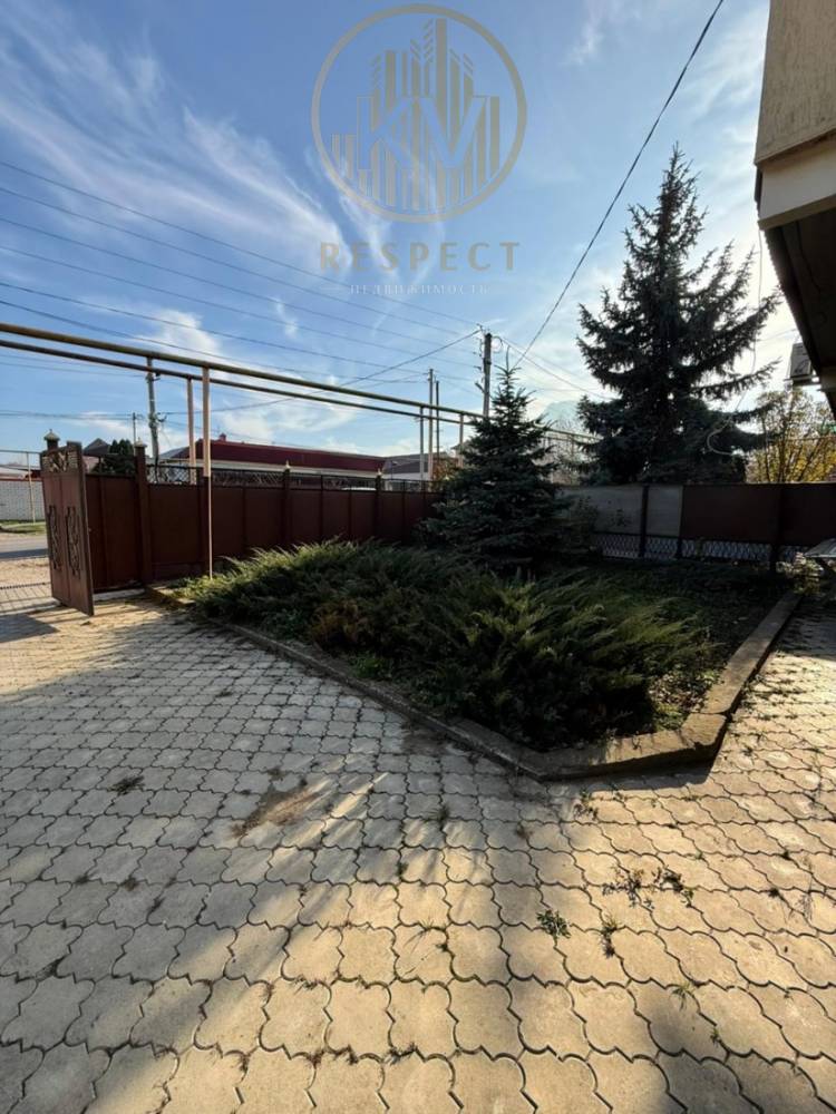 whatsapp image 2025-11-20 at 15.25.25