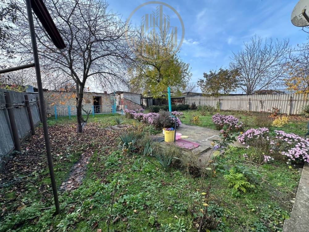 photo_2025-11-18 21.00.01