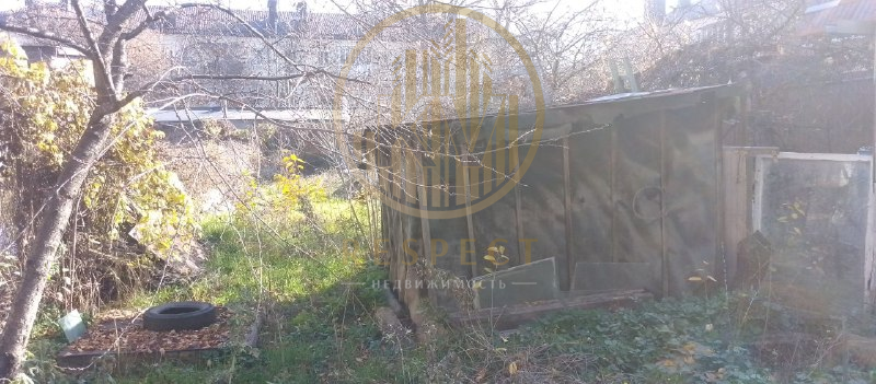 без названия (2)