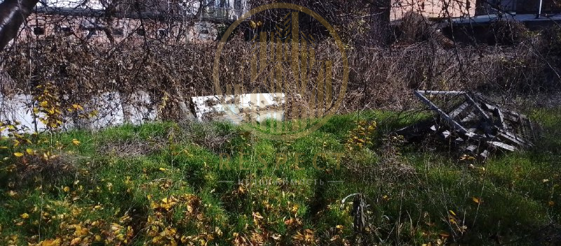 без названия (3)