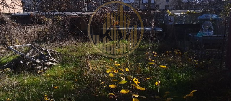 без названия (4)