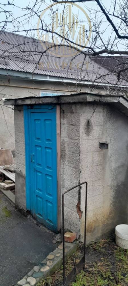 photo_5193200981330563184_y