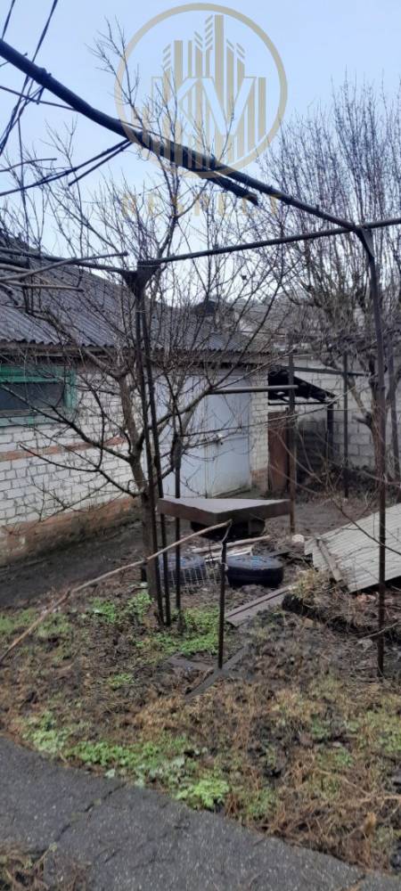 photo_5193200981330563185_y