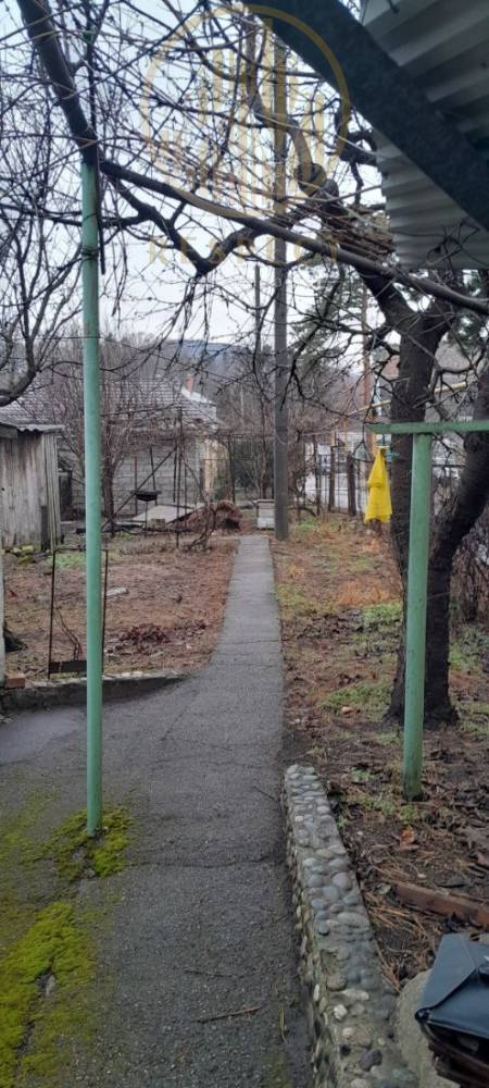 photo_5193200981330563186_y