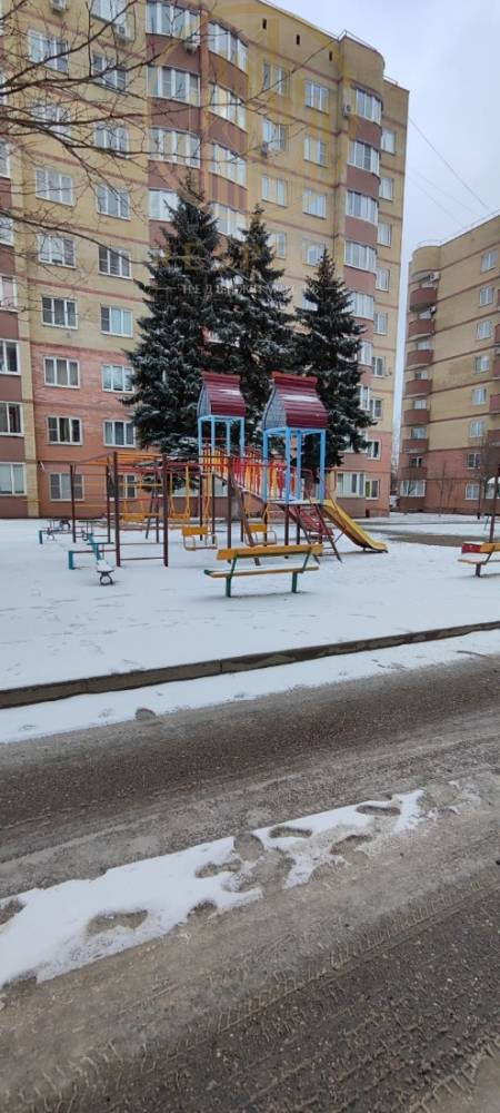 whatsapp image 2026-02-05 at 19.24.52