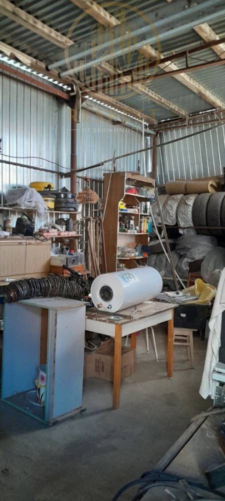 photo_5217565484692215125_y