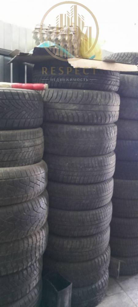 photo_5217565484692215114_y