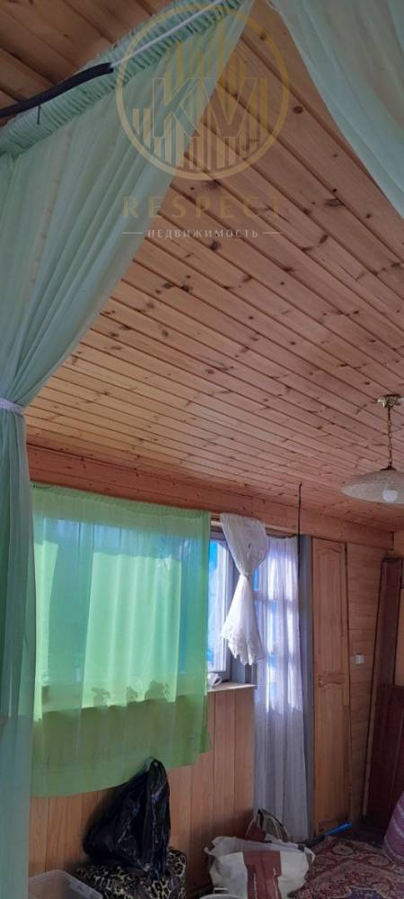 photo_5217565484692215137_y (1)