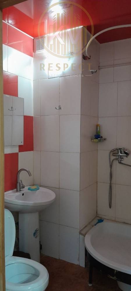 photo_5217565484692215141_y