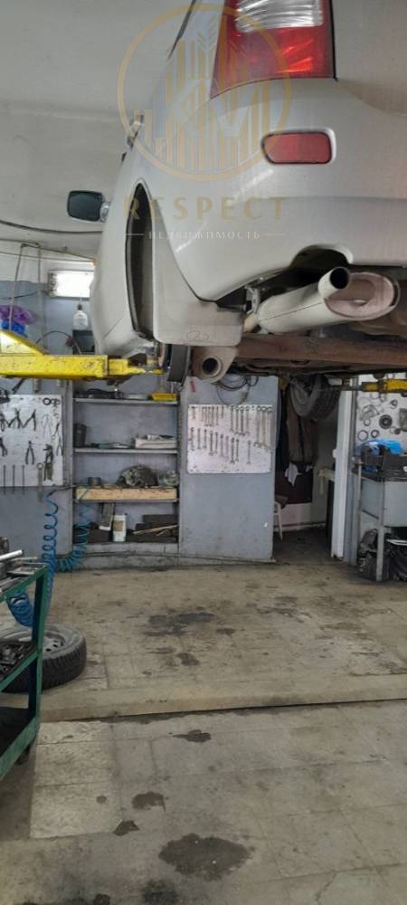 photo_5217565484692215118_y