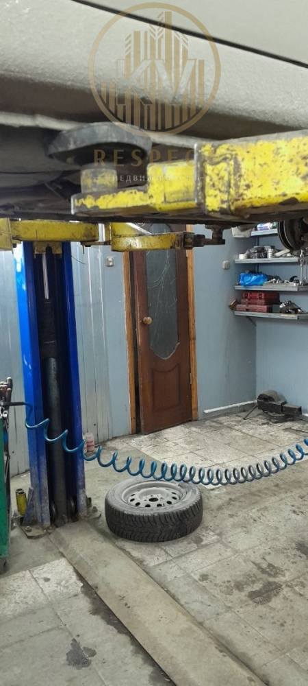 photo_5217565484692215119_y