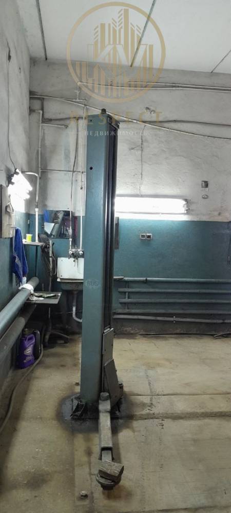 photo_5217565484692215123_y