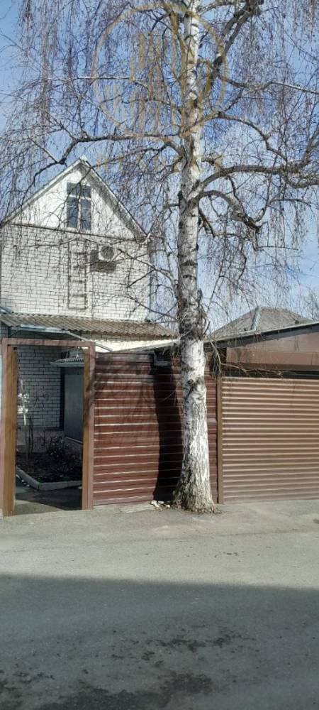 photo_5226865446097720171_y