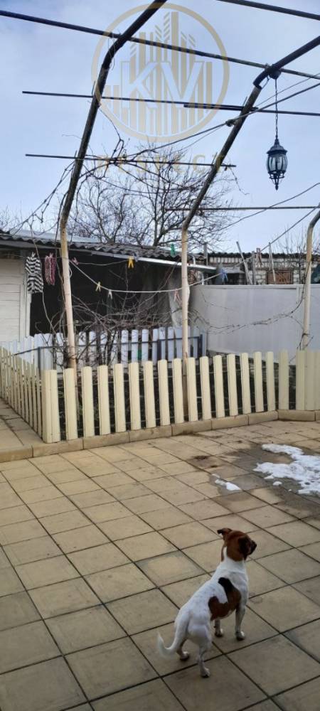 photo_5226865446097720177_y