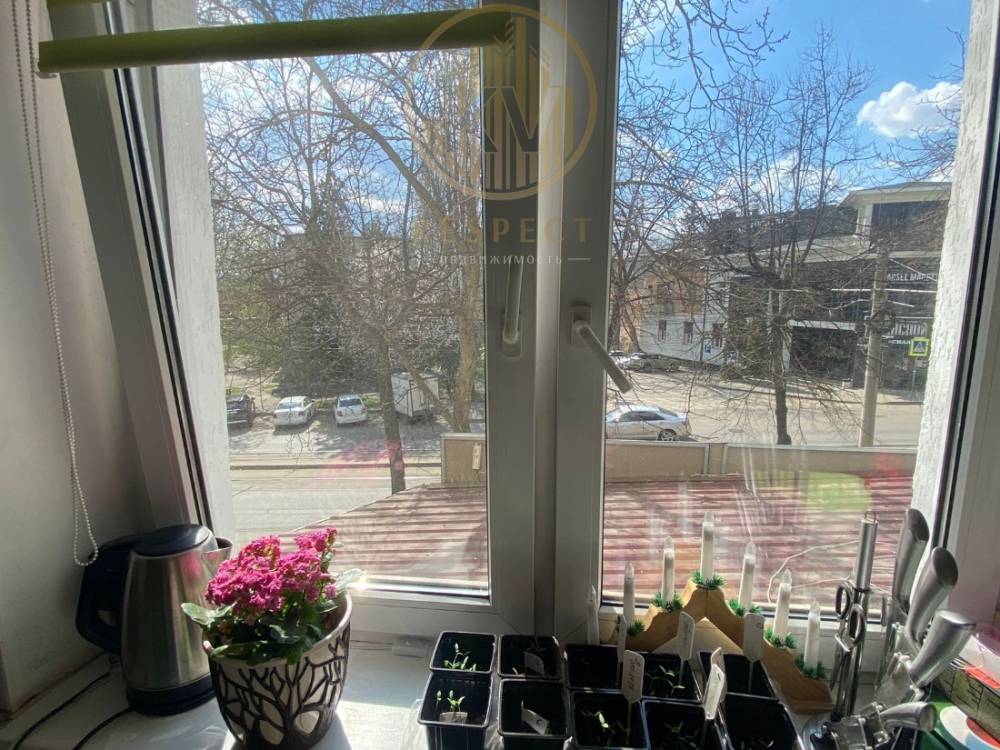 Вид из окна