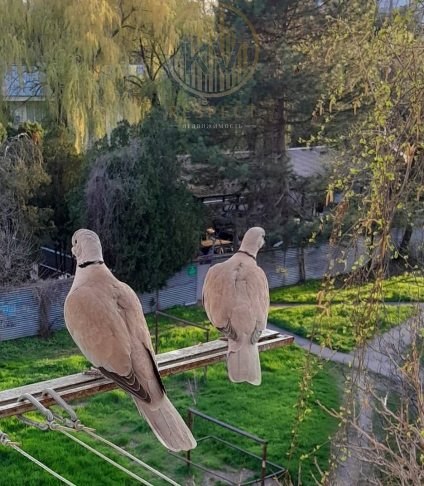 Вид из окна