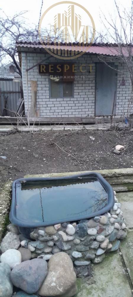 photo_5251514757330702822_y