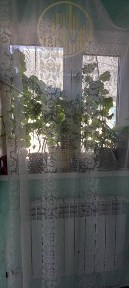 photo_5246864604829259843_y