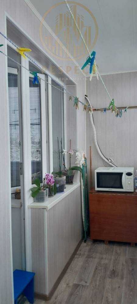 photo_5269297498189140536_y