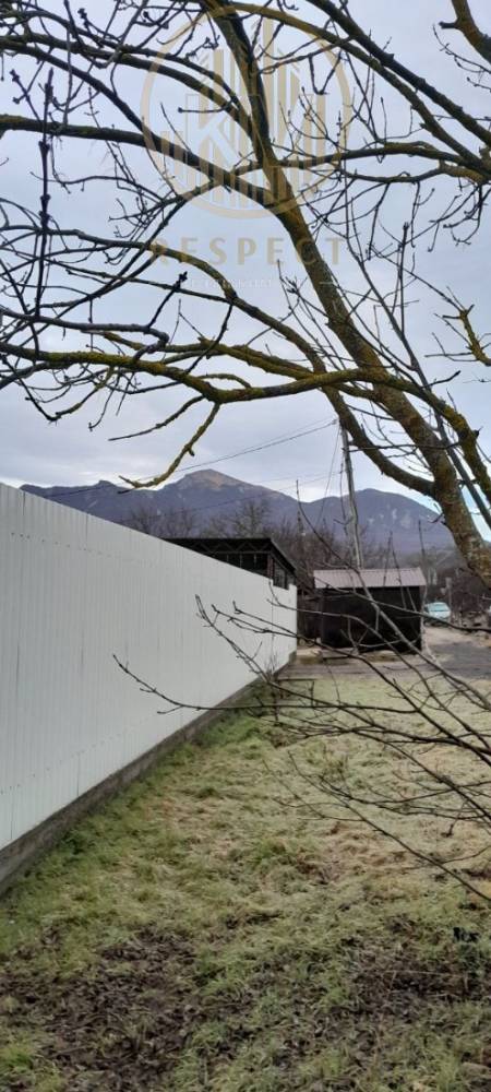 photo_5278268246056441888_y