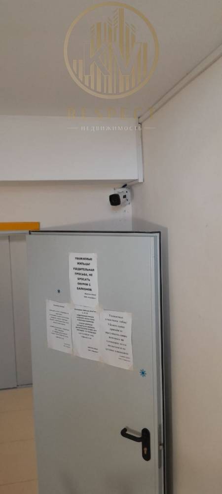 photo_5276037852359760026_y