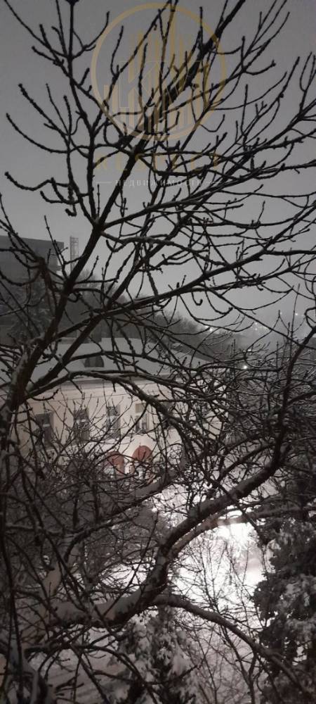 photo_5276037852359760136_y