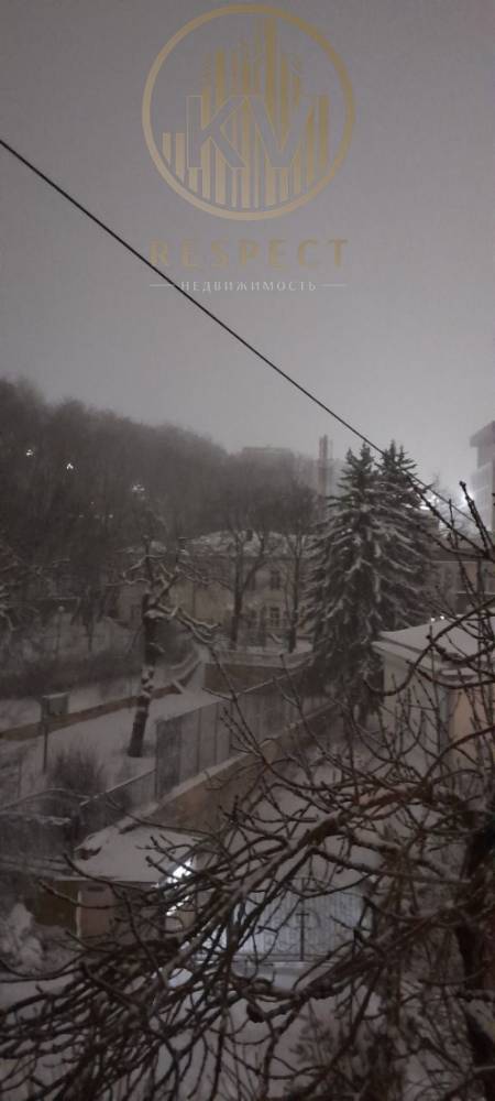 photo_5276037852359760137_y