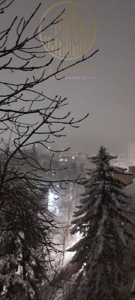 photo_5276037852359760138_y